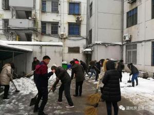 抗雪特輯 | 致大雪中可愛的房總人！